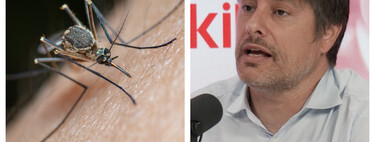 Rubén Bueno, biólogo: “Lo que atrae a los mosquitos no es una sangre más dulce, sino los compuestos químicos que emitimos” 