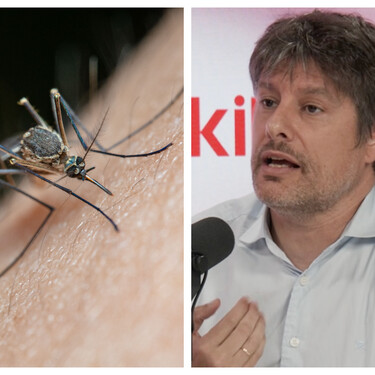 Rubén Bueno, biólogo: “Lo que atrae a los mosquitos no es una sangre más dulce, sino los compuestos químicos que emitimos” 