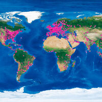 El mito del internet descentralizado, en un mapa: un tercio de los centros de datos del mundo están en un solo país