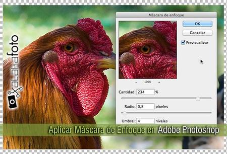 Aplicar Máscara de Enfoque en Adobe Photoshop