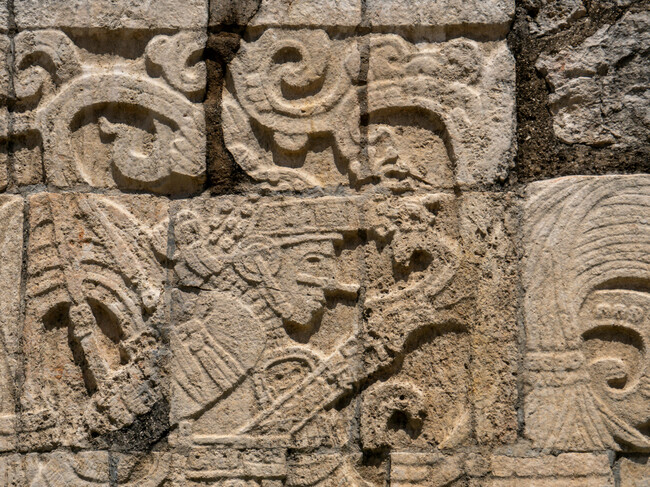 Codices