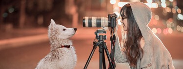 Hay un problema con las cámaras de vigilancia para perros, porque el resultado más habitual es que acabéis agobiados el perro y tú