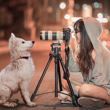 Hay un problema con las cámaras de vigilancia para perros, porque el resultado más habitual es que acabéis agobiados el perro y tú