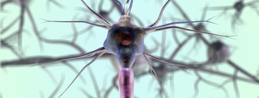 Finalmente sabemos que truque os neurônios usam para se coordenar 