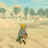 Cómo resistir al calor del desierto en Zelda Breath of the Wild 