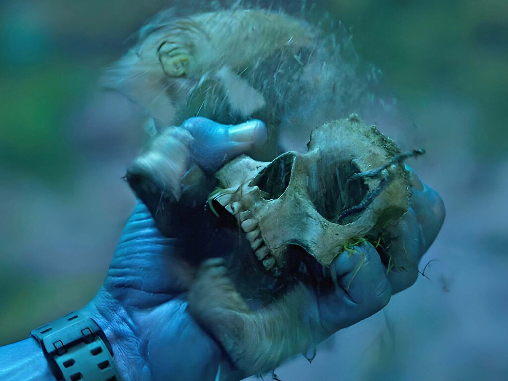 Esta película de acción y ciencia ficción está en el top 3 de películas más taquilleras de la historia y se puede ver en streaming. Noticias en tiempo real