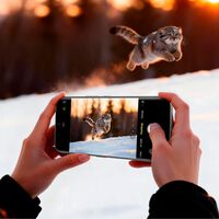Celular con 6,150 mAh, cámara de vapor y una IA para fotografiar mascotas: TECNO CAMON 50 Pro llega a México 