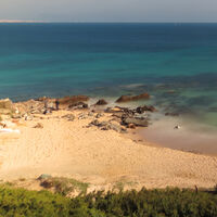 Cádiz ha visto cómo una alga invasora se ha convertido en su peor pesadilla. Ahora quieren convertirla en energía para Red Eléctrica