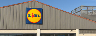 El viernes 25 de septiembre llega a Lidl esta estantería colgante para aprovechar el hueco entre la puerta y la pared por 7,99 euros