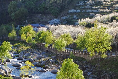 Valle Del Jerte Extremadura