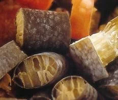 Cochayuyo, un alga con intenso sabor a mar