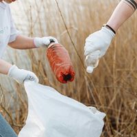Ecatepec acaba de romper un Record Guinness histórico y le ganó a Japón: más de 148 mil personas limpiaron basura al mismo tiempo 