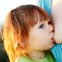 Lactancia materna en niños mayores de un año: dar el pecho a partir de los 12 meses no es malcriar 