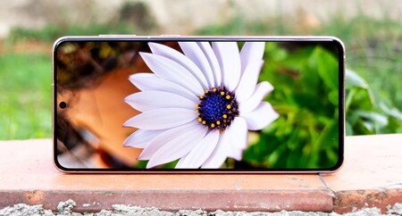 Samsung Galaxy S21