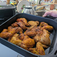Miguel Ayuso, experto en gastronomía: “es lo mejor para poder cocinar de una tacada una docena de alitas, pescados enteros de ración” 