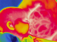 Impresionante imagen térmica del amamantamiento que muestra el calor que se genera