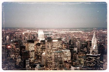 Los insectos de Manhattan se zampan 60.000 perritos calientes o 200.000 galletas al año