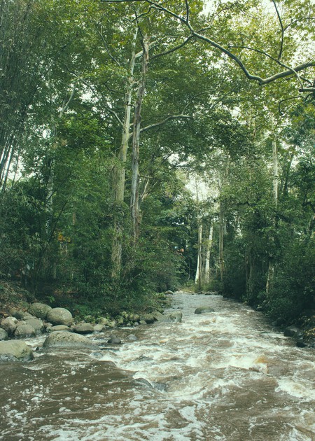Cómo y llegar y qué visitar a Coatepec, el Pueblo Mágico de Veracruz conocido como la ‘Capital del Café'