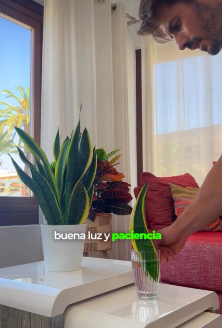 Captura De Pantalla 2025 11 19 100612