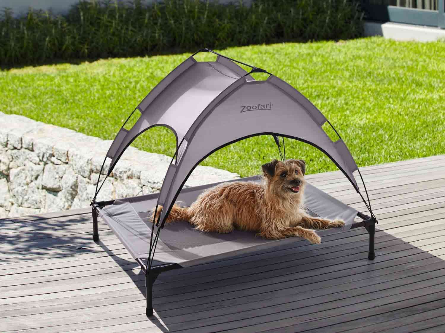 Cama con parasol para perro con posición elevada y ventilación.