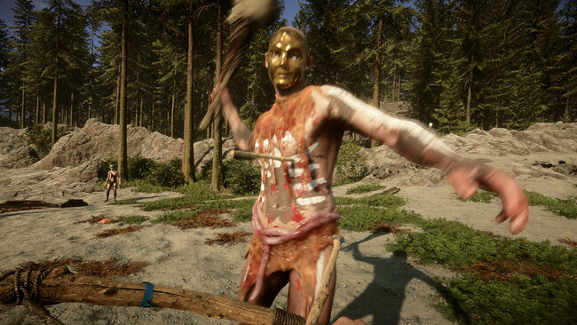Imagen de Sons Of The Forest ( Endnight Games Ltd)