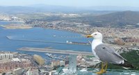 Luxemburgo respalda la fiscalidad de Gibraltar