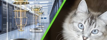 Alguém demonstrou o metafórico experimento do gato de Schrödinger na vida real: eles acreditam que é o “Santo Graal” para uma mecânica quântica livre de erros 