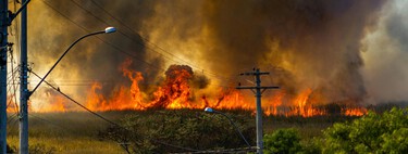 Detectar un incendio cuando es del tamaño de un coche: el ambicioso plan de Google con su nueva red de satélites FireSat y la IA