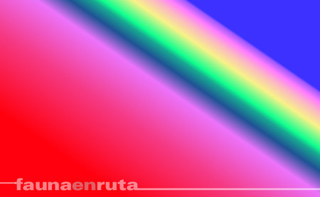 Todo es según el color del cristal con que se mira
