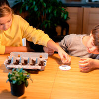 
Actividades Montessori para niños de 3 a 6 años: fortalece el aprendizaje y autonomía de tu hijo mientras se divierte 