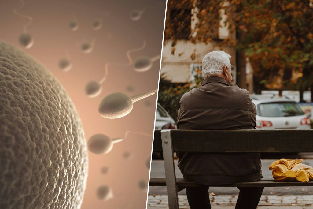 Tener muchísimos hijos suena muy bien como forma de preservar la especie. Hasta que empiezas a pasar mutaciones genéticas
