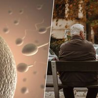 Tener muchísimos hijos suena muy bien como forma de preservar la especie. Hasta que empiezas a pasar mutaciones genéticas