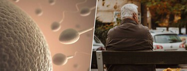 Tener muchísimos hijos suena muy bien como forma de preservar la especie. Hasta que empiezas a pasar mutaciones genéticas