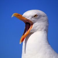 Actuar con mano dura no es sinónimo de dirigir bien a un equipo