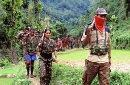 Sobre la guerrilla maoísta en Nepal