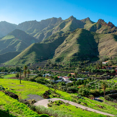 Agaete, el valle de Gran Canaria donde crece el único y cotizado café de España (y el más septentrional del mundo) 