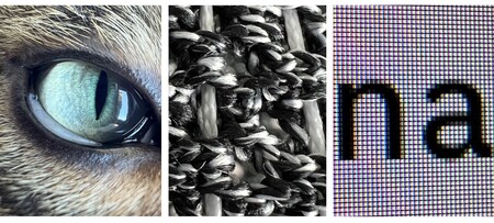 Las fotos en modo macro más flipantes hechas con un iPhone 13 Pro por los usuarios