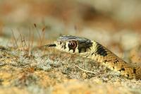 Convivir con compañeros tóxicos en el trabajo