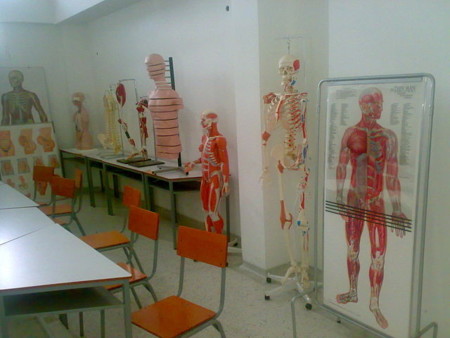 Lo mejor de Vitónica en 2013: el cuerpo humano
