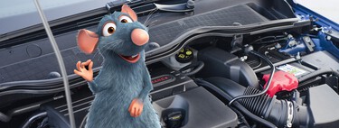 Ratas en el coche: los roedores declaran la guerra a conductores y mecánicos en Nueva York