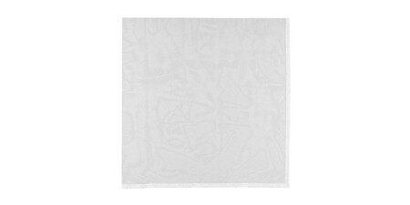 Mosquitera Magnetica Lidl