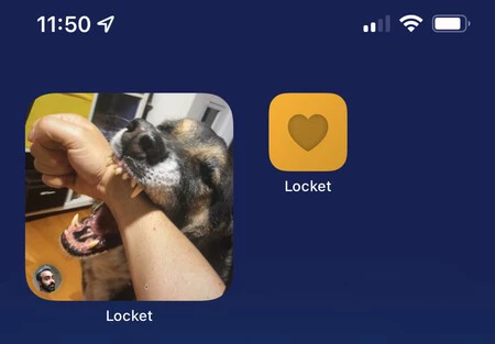 心配しないでください、私の友人は元気です。彼の犬はとても面白いです。