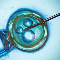 Un juez cede los embriones congelados de una pareja separada a la clínica de fertilidad para darles "el destino que proceda"