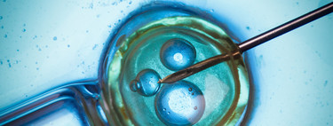 Un juez cede los embriones congelados de una pareja separada a la clínica de fertilidad para darles "el destino que proceda"