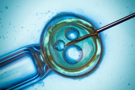Un juez cede los embriones congelados de una pareja separada a la clínica de fertilidad para darles "el destino que proceda"