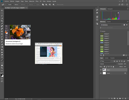 Nuevo Adobe Vi