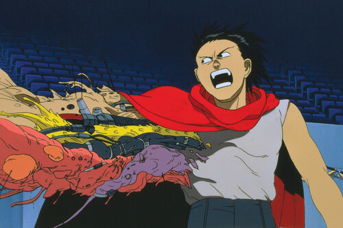 Akira Web
