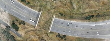 Una autovía de 10 carriles partió en dos un parque natural. Ahora tendrá el mayor puente de fauna del mundo para salvar a sus animales
