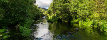 Cascadas y románico gallego: el encantador pueblo de Pontevedra que invita a salir de la costa 
