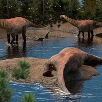Descubren en Argentina un dinosaurio que vivió hace 95 millones de años: así era el Astigmasaura genuflexa y así fue su hallazgo 